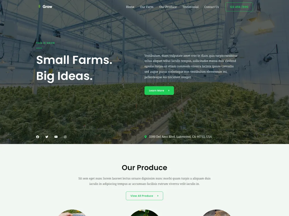 GROW template preview