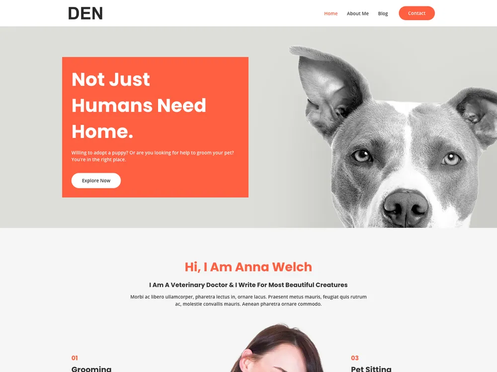 DEN live preview screenshot