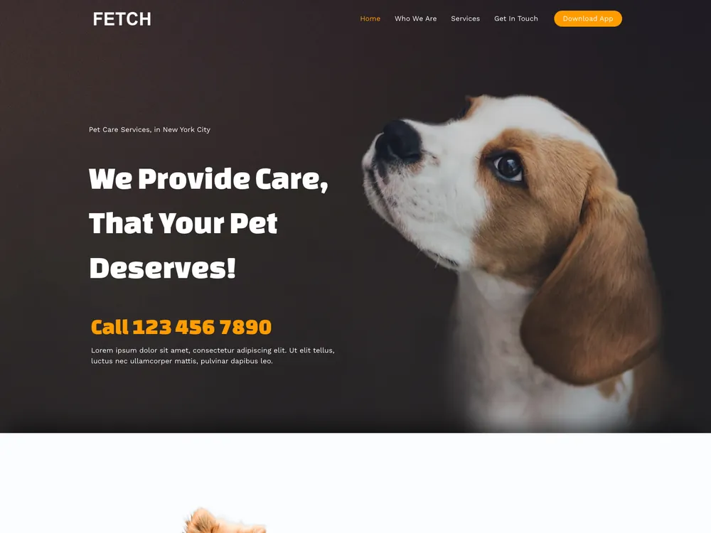 FETCH live preview screenshot